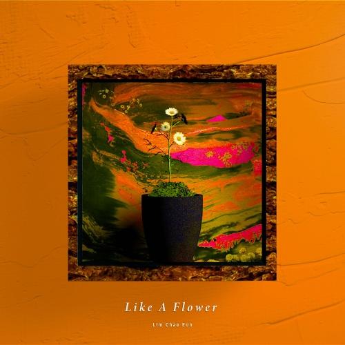 Lim Chae Eon (임채언) – Like A Flower (화인) cover