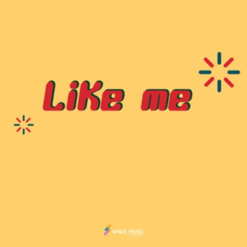 Like Me (라이크미) – Like Me cover