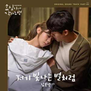 Kim Bo Kyung (김보경) (Neon) – Like a Star (저기 빛나는 별처럼) cover