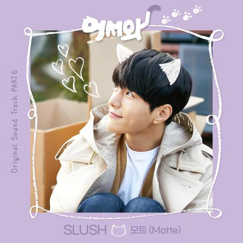 Motte (모트) – Slush cover