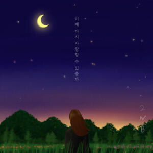 2NB – Will I Be Able To Love You Again? (이제 다시 사랑할 수 있을까) cover
