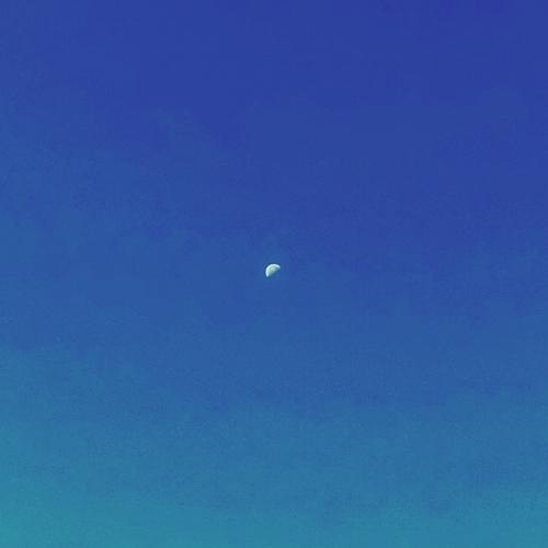 Koh Na Young – Morning Moon (지샌달) cover