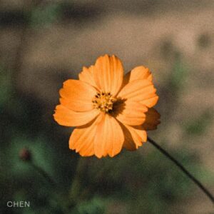 Chen – Before the Petals Fall (꽃잎이 지기 전에) cover