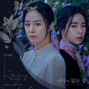 Juniel – Night cover