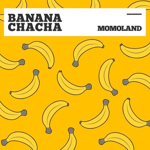 MOMOLAND (모모랜드) – Banana Chacha (바나나차차) cover