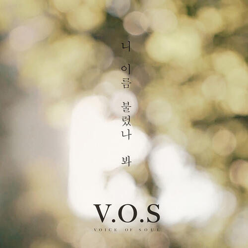 V.O.S – Call Your Name (니 이름 불렀나 봐) cover