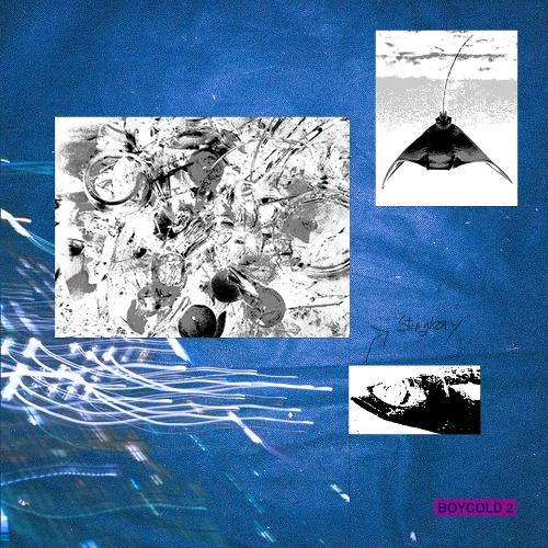 Vinxen (빈첸) – 36 Pills cover