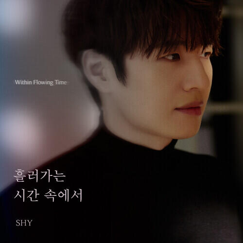 Son Ho Young – Within Flowing Time (흘러가는 시간 속에서) cover
