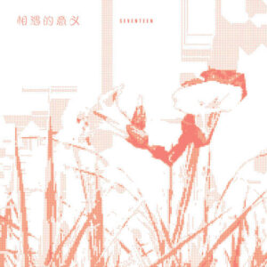 SEVENTEEN – Xiang Yu De Yi Yi (相遇的意义) cover