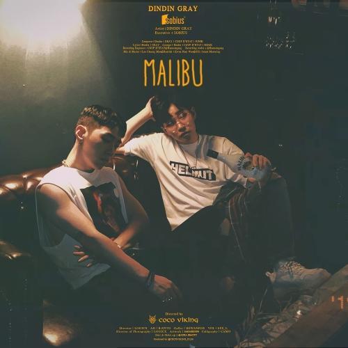 DinDin – Malibu (Feat. Gray) cover