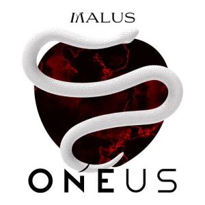 ONEUS (원어스) – Stupid Love cover