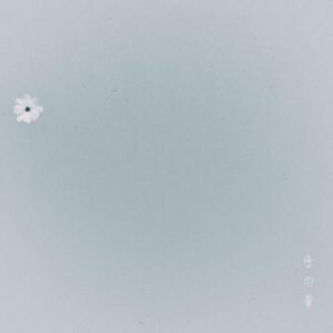 MAKTUB (마크툽) – Snow Flower (눈의 꽃 (雪の華)) cover