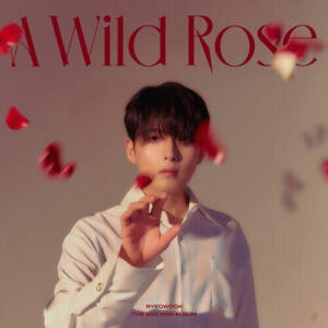 Kim Ryeowook (Super Junior) – Everlasting Love (찬란한 나의 그대) cover