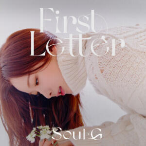 Solji – Pillow cover
