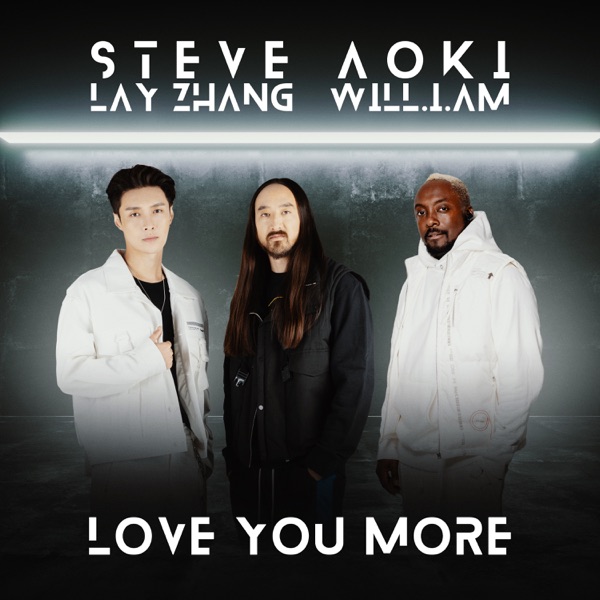 Lay – Love You More (Steve Aoki & will.i.am) cover