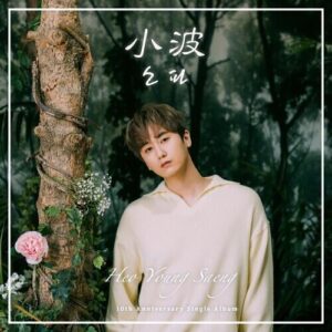 Heo Young Saeng (SS501) – 소파 (小波) cover
