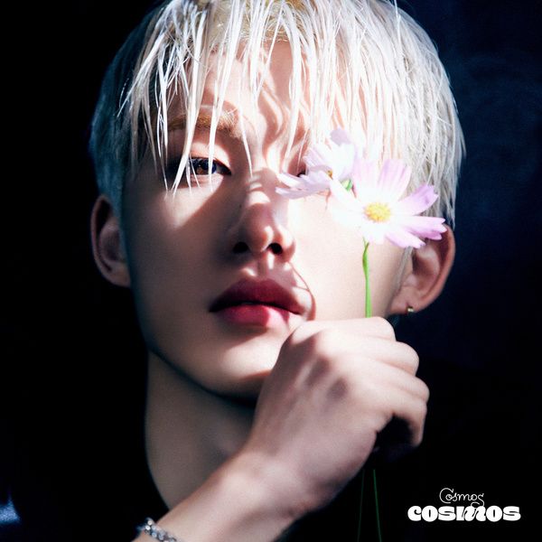 B.I – Flame cover