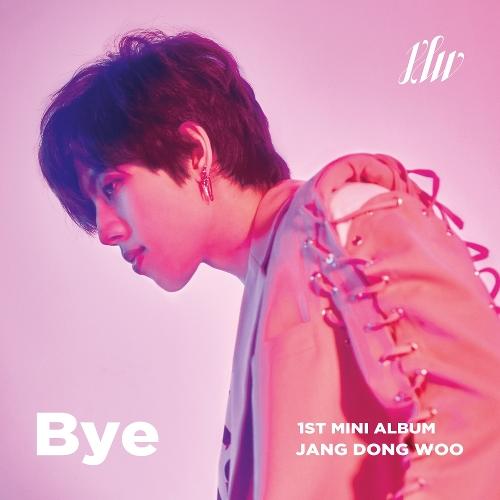 Jang Dong Woo (장동우) – Something Between cover