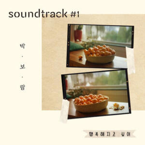 Park Boram (박보람) – Want To Be Happy (행복해지고 싶어) (박보람 X soundtrack#1) cover