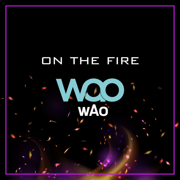 W.A.O (위아더원) – On The Fire cover