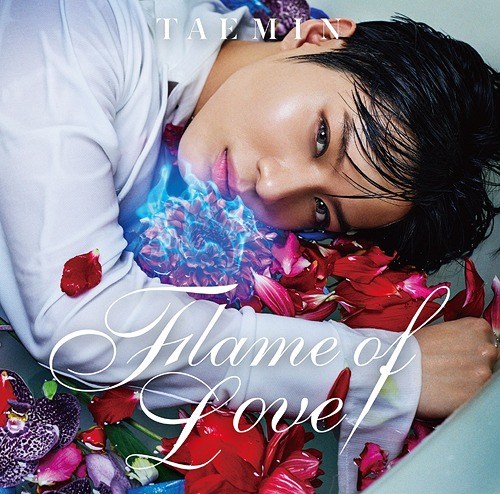 Lee Taemin (SHINee) – Itsuka Kokode (いつかここで) cover
