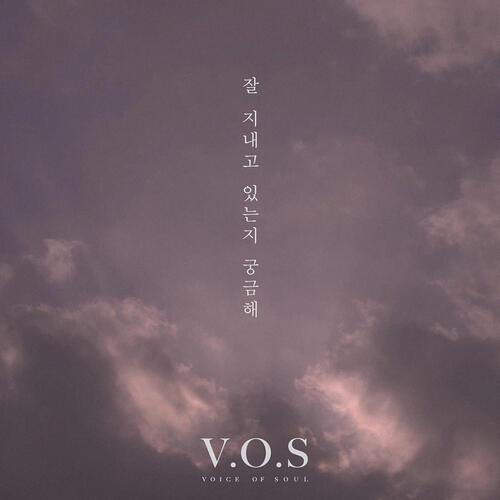 V.O.S – I Miss You (잘 지내고 있는지 궁금해) cover