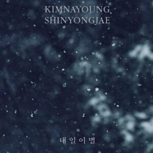 Kim Na Young – The Day (내일 이별) (With Shin Yong Jae) cover