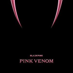 BLACK PINK (블랙핑크) – Pink Venom cover