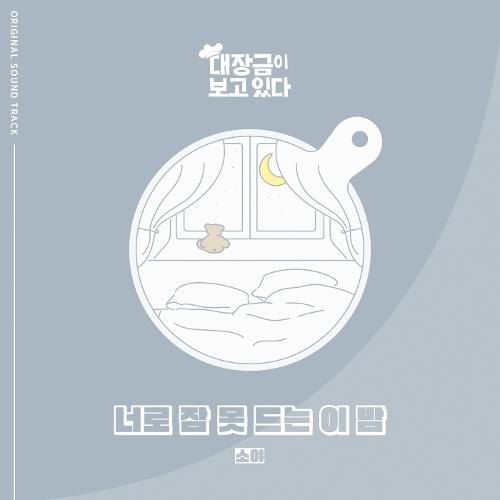 Soya (소야) – 너로 잠 못드는 이 밤 cover