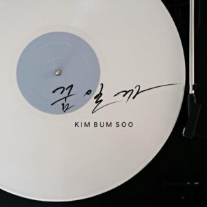 Kim Bum-soo – Dream (꿈일까) cover