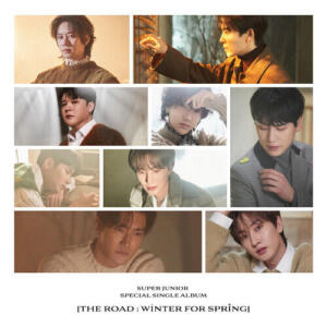 Super Junior – Callin’ cover