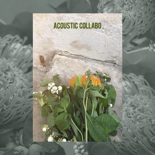 Acoustic Collabo – Think About You (널 좋아하나봐) cover