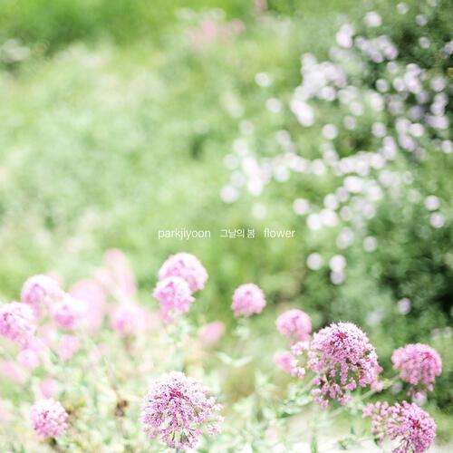 Park Ji Yoon – 그날의 봄 cover