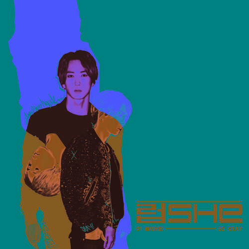 Jang Woo Hyuk – She (럽) cover