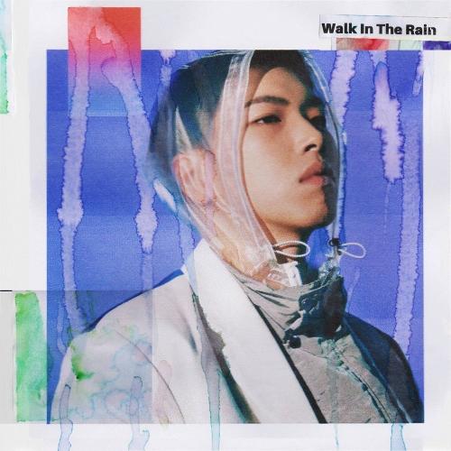 Osshun Gum – Walk In The Rain cover