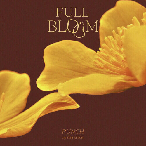 Punch (펀치) – Not (아니) cover