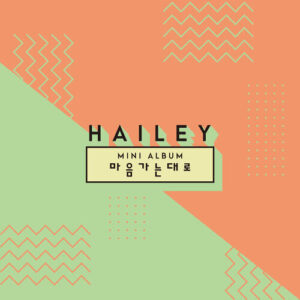 Hailey (헤일리) – Take A Song cover
