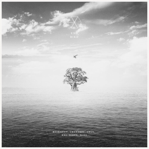EXO – BIRD cover
