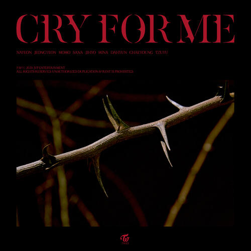 TWICE – Cry For Me cover