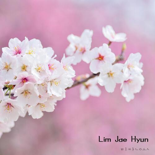 Lim Jae Hyun (임재현) – Fancy Clothes (비싼옷) cover