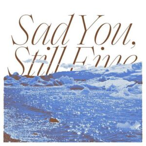 Fromm – Sad You, Still Fine (슬픈 그대가 좋아) cover
