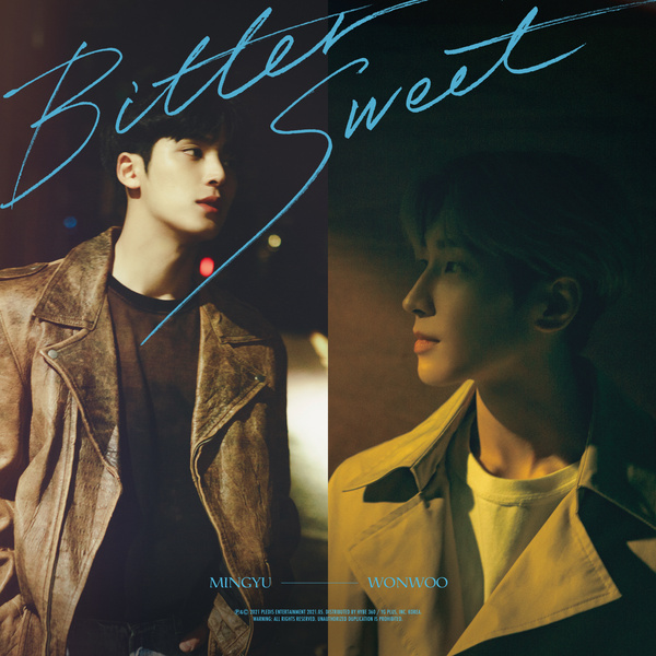 SEVENTEEN – Bittersweet (Feat. Lee Hi) (WONWOO X MINGYU) cover