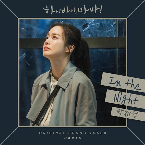 Parc Jae Jung (박재정) – In The Night cover