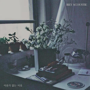 Bily Acoustie (빌리어코스티) – No Reason (이유가 없는 이유) cover