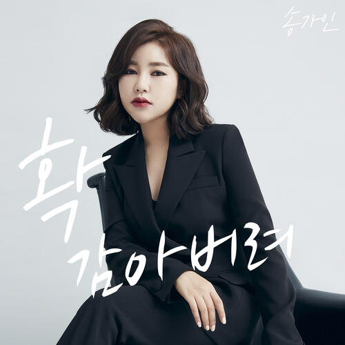 Song Ga In (송가인) – Just Gamma (확 감아버려) cover