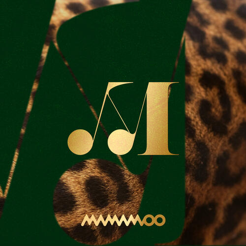 MAMAMOO – Chuck (척) cover