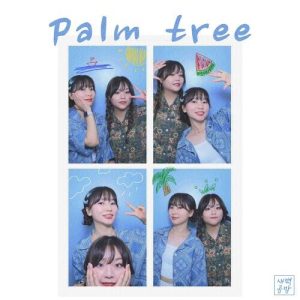 SBGB (새벽공방) – Palm Tree cover