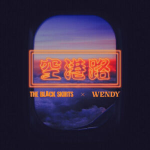 Wendy – Airport Goodbyes (공항로) (Prod. 검정치마) cover