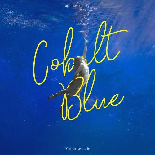 Vanilla Acoustic – Waited So Long (오래 기다렸어) cover
