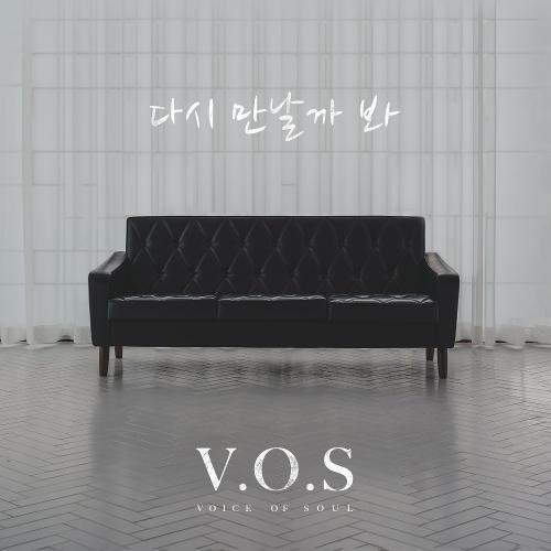 V.O.S – Again (다시 만날까 봐) cover